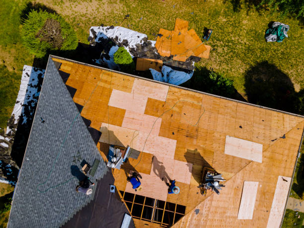 Best Roof Maintenance Services  in Franklin Farm, VA