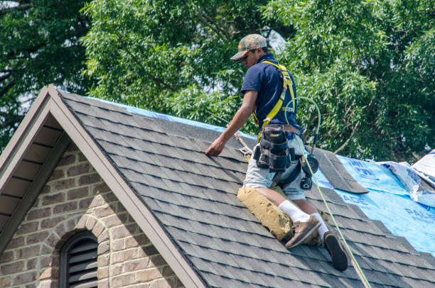 Roof Gutter Cleaning in Franklin Farm, VA